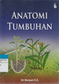 ANATOMI TUMBUHAN