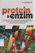 protein & enzim