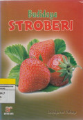Budidaya STROBERI