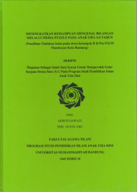 Image of MENINGKATKAN KEMAMPUAN MENGENAL BILANGAN MELALUI MEDIA PUZZLE PADA ANAK USIA 5-6 TAHUN