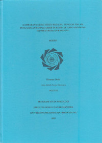 Image of GAMBARAN COPING STRESS PADA IBU TUNGGAL DALAM PENGASUHAN REMAJA AKHIR DI KOMPLEK GRIYA BANDUNG INDAH KABUPATEN BANDUNG